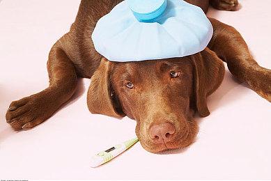 微软XGP服务将升级 停止向不活跃会员收取费用